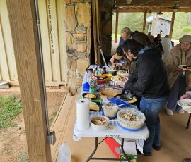 Picnic food